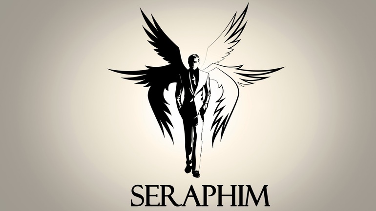 Приоритеты Фонда Seraphim
